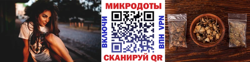 Псилоцибиновые грибы Psilocybe  Кохма 